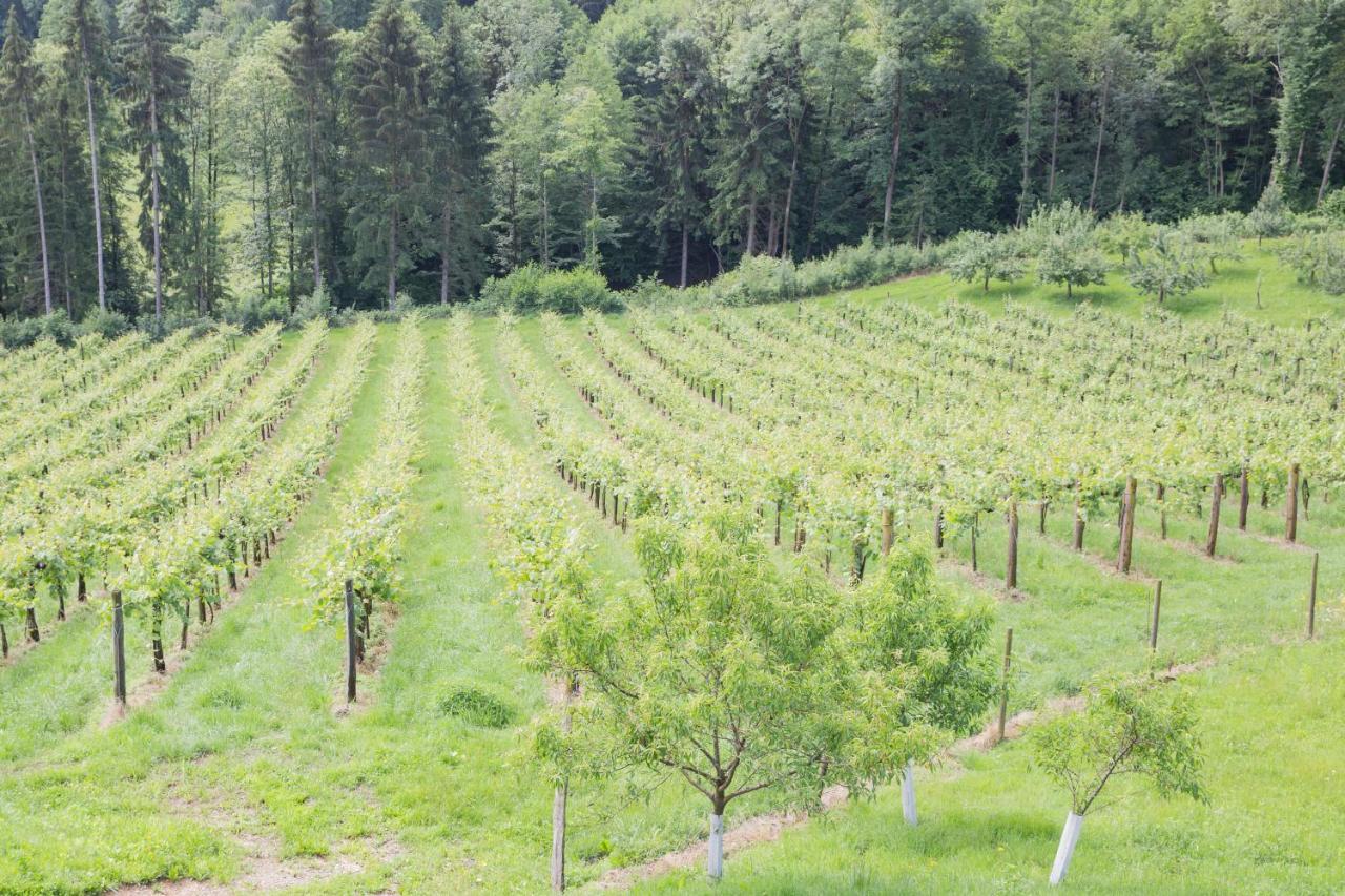 Buschenschank Ofnerpeter Sankt Stefan ob Stainz Exteriör bild